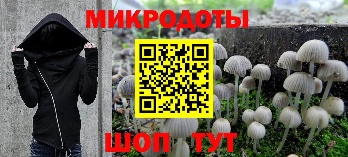 Галлюциногенные грибы мухоморы  Галлюциногенные грибы мицелий  купить наркотик  Вход с VPN  Тверь 