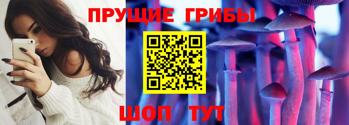 Псилоцибиновые грибы мицелий Тверь
